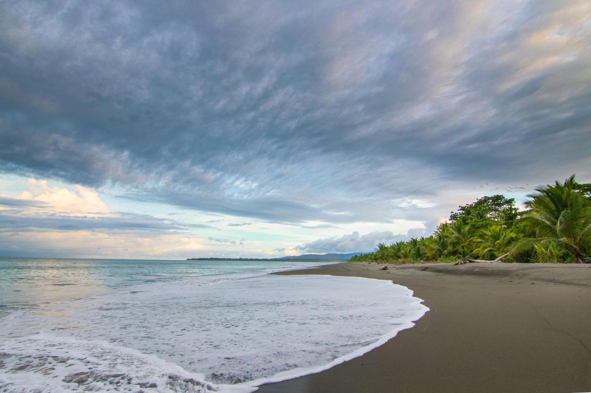 Botanika Osa Peninsula, Curio Collection By Hilton Hotel Puerto Jiménez Kültér fotó