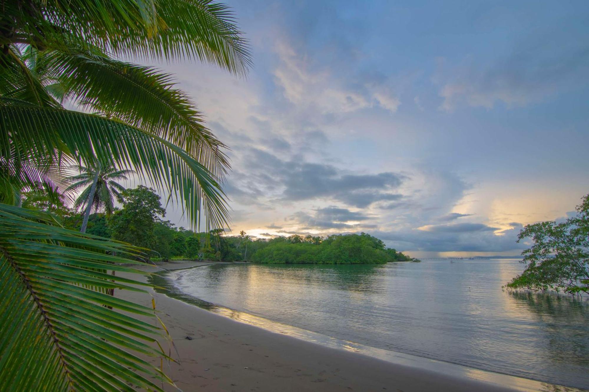 Botanika Osa Peninsula, Curio Collection By Hilton Hotel Puerto Jiménez Kültér fotó