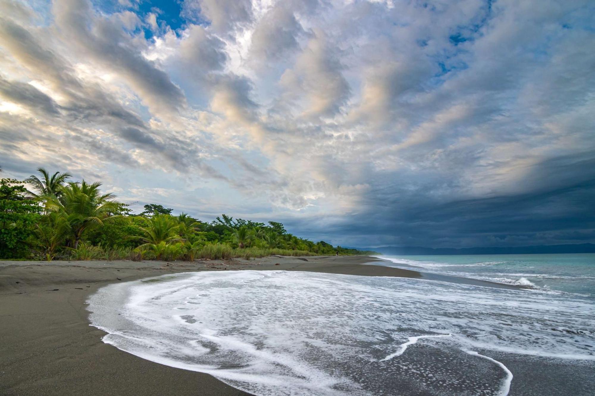 Botanika Osa Peninsula, Curio Collection By Hilton Hotel Puerto Jiménez Kültér fotó
